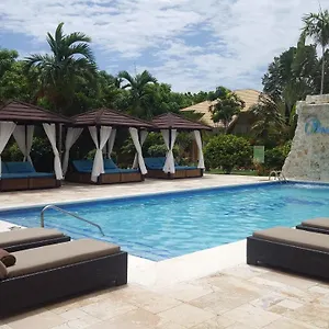 the-oasis.hotelsmontegobay.org/